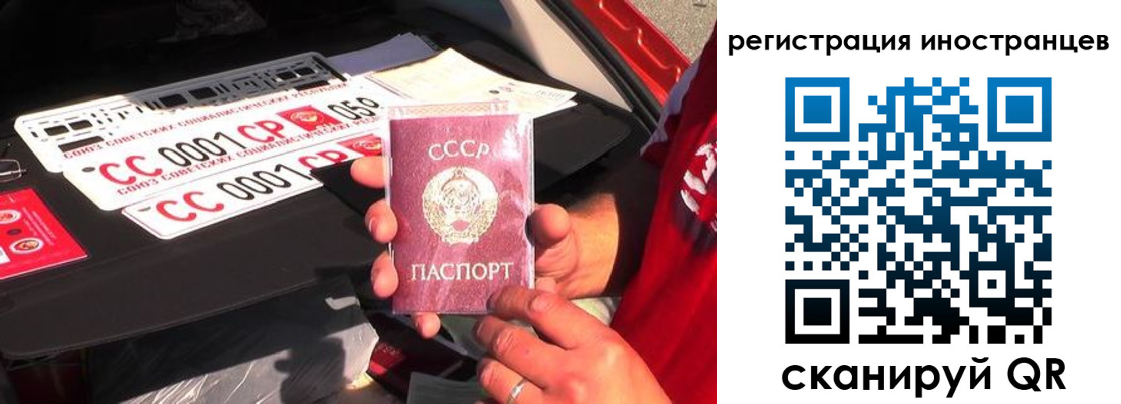 прописка гарантия в Звенигово